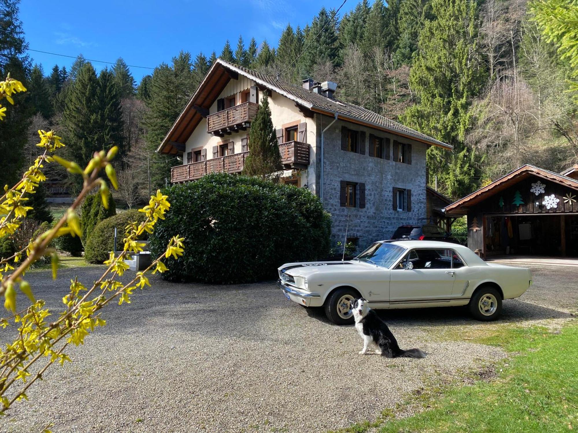 D'hotes Des Cascades St-nicolas Guest house