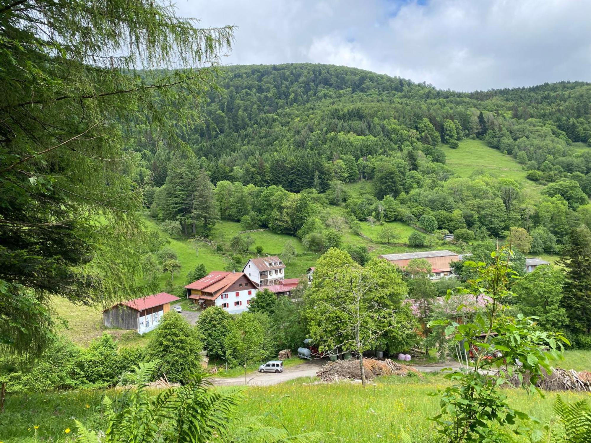 D'hotes Des Cascades St-nicolas * Kruth